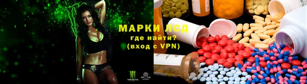 ГАЛЛЮЦИНОГЕННЫЕ ГРИБЫ Магас