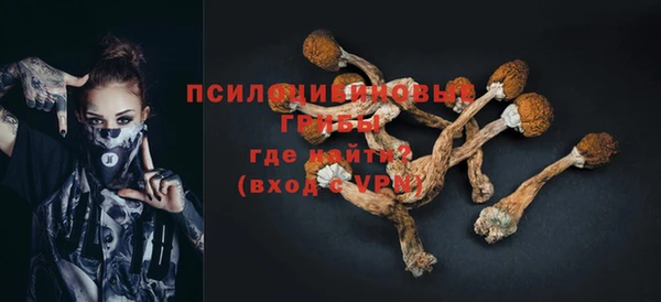 индика Лиски