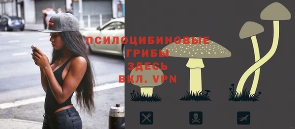 ГАЛЛЮЦИНОГЕННЫЕ ГРИБЫ Магас