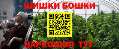 крисы Гусев