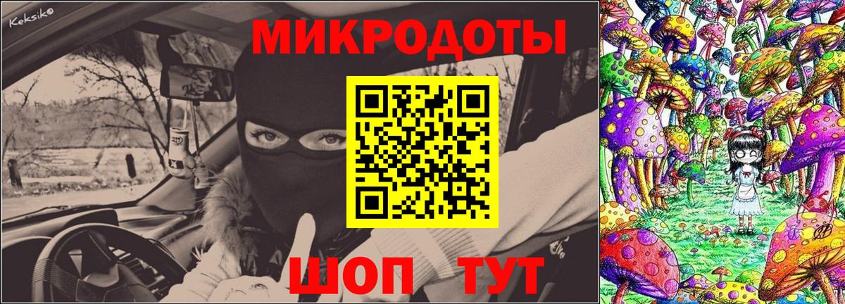 Псилоцибиновые грибы мицелий Знаменск